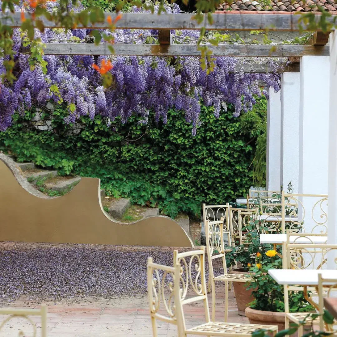 Giardino02_png Giardino02_png